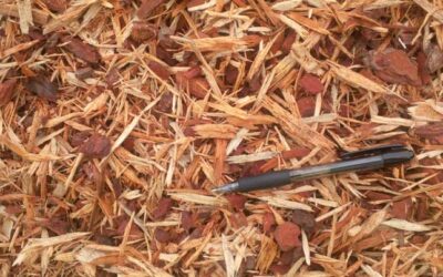 NEW PRODUCT – PINE MULCH