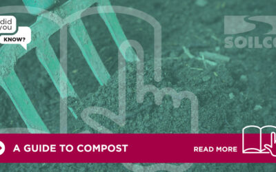 Did You Know? A Guide To Compost