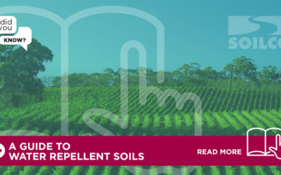 Did You Know? Water Repellent Soils