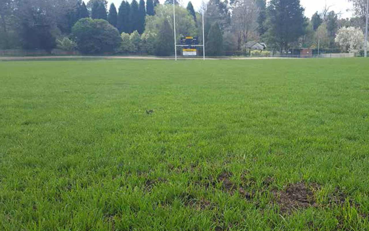 Football field in Wingecarribee Shire