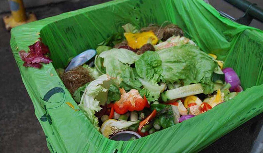 About International Compost Awareness Week