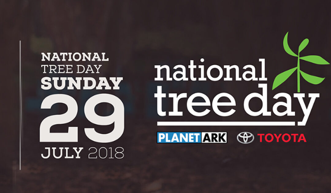 Today Is National Tree Day!