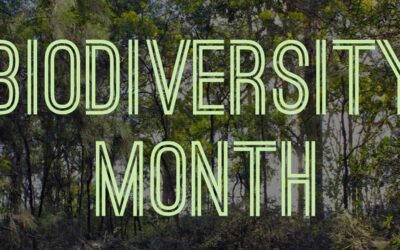 Biodiversity Month!