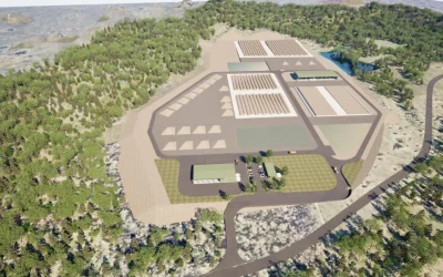 400,000 Tonnes per Annum Approval Granted for SOILCO’s Bromelton Compost Manufacturing Facility